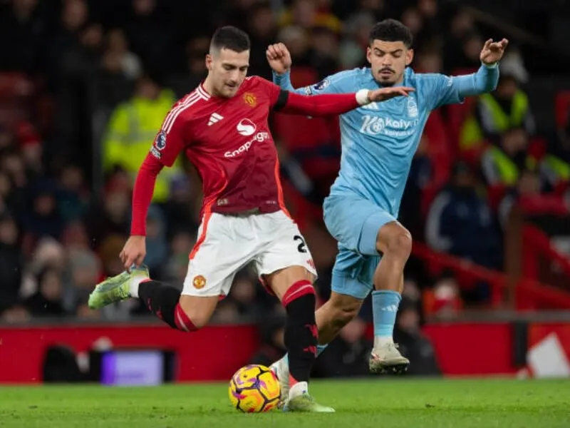 Dự đoán tỷ số Nottingham vs Man United